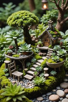 a miniature garden with small trees and plants