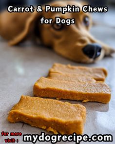 carrot and pumpkin chews for dogs are on the floor next to a dog's head