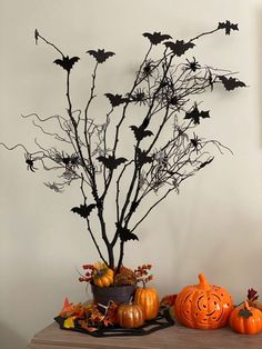 a halloween tree with bats and pumpkins sitting on a table next to a potted plant