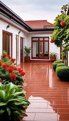 an outdoor courtyard with potted plants and red flowers on the ground in front of it