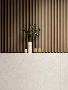 there is a potted plant sitting on the ledge in front of a wall with vertical blinds