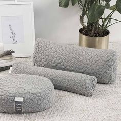 two gray pillows sitting on top of a white floor next to a potted plant