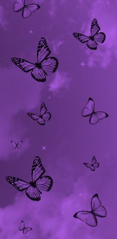 many butterflies flying in the sky on a purple background