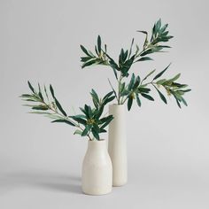 two white vases with green plants in them