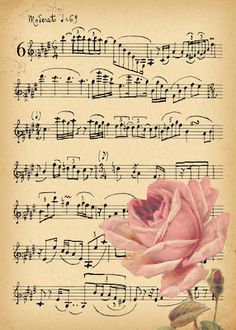 an old sheet music with a pink rose on it and the words,'i love you