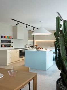 a kitchen with a cactus in the middle of it