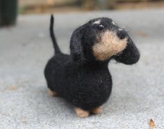 a small black and tan dog sitting on the ground