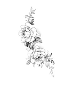 a black and white drawing of flowers