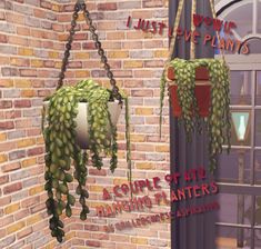 a plant hanging from the side of a brick wall next to a window with words above it