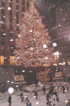 a large christmas tree in the middle of a city