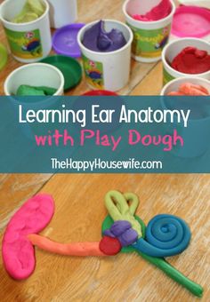 an image of play dough with the words learning ear anatomy on it and in cups