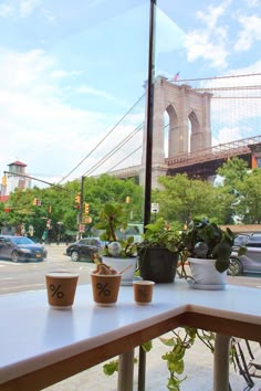 three cups with plants are sitting on a table in front of a window overlooking the brooklyn bridge