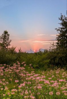 Colourful sunset cottagecore beauty garden green pink yellow Wallpaper Edgy, Frühling Wallpaper, 숲 사진, Wallpaper Estetika, Pretty Landscapes, Pretty Sky, Sunset Pictures, Nature Aesthetic