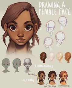 an animation character's face with different facial expressions and hair styles, including the female head