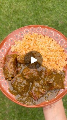 a person holding a plate with meat and rice