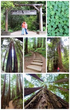 several pictures of people standing in the woods near some trees and stairs that lead up to an entrance