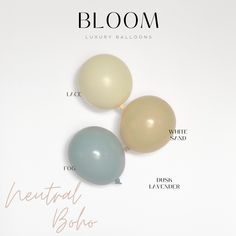 three balloons labeled in different colors on a white background with the words bloom written below