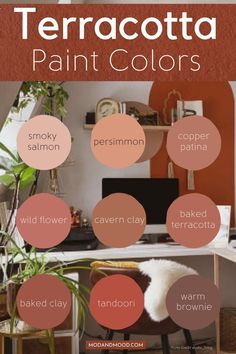 the color scheme for terracotta paint colors