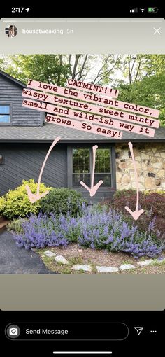 a house that has been decorated with pink and blue flowers in front of the house