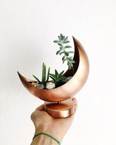 a hand holding a planter with succulents in it's center