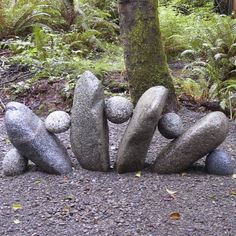 some rocks are stacked up next to a tree