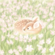 a baby deer laying in the middle of a field full of pink and white flowers