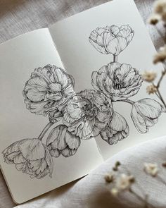 an open book with flowers drawn on it next to some white flowers in the background