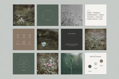 a series of brochures designed to look like nature