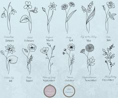 the different types of flowers are shown in this drawing style, and each flower has its own name on it