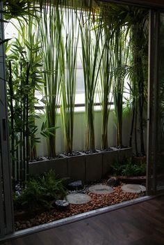 a room filled with lots of plants and rocks in front of a window on top of a hard wood floor