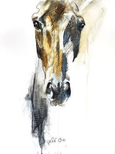 a drawing of a horse's head and neck