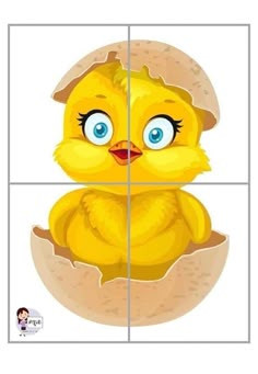 an image of a yellow bird in the middle of four square pictures with blue eyes