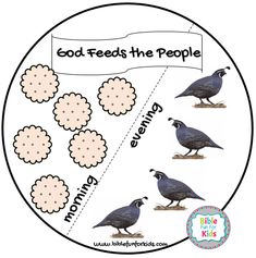 a circle with four birds on it and the words, god feeds the people below