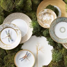 several plates with dragonfly designs on them are arranged in the middle of a mossy area