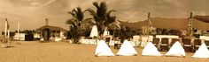 there are many chairs and umbrellas set up on the beach in front of palm trees