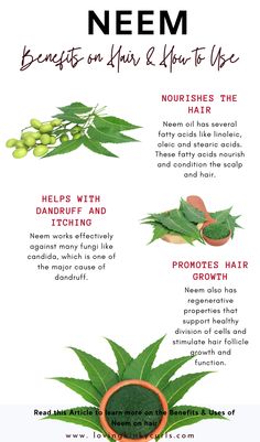 Neem Plant Benefits Of, Benefits Of Neem Oil For Skin, Herb For Hair Growth, Neem Oil Benefits Hair, Neem Benefits Skin, Neem Powder Uses, Neem Leaves Benefits, Neem Tea Benefits, Neem Benefits Health