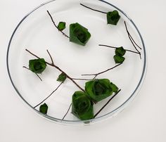 green leaves are arranged on a glass plate