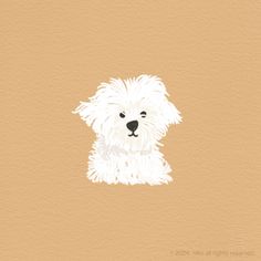 a small white dog sitting on top of a brown background