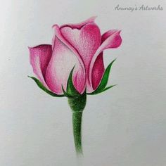 Flower Colour Drawing, Simple Colour Pencil Drawings Easy, Flower Drawing Design Colour, Colored Pencil Artwork Ideas Easy, Natural Motif Drawing, Drawing With Colored Pencils Easy, Easy Pencil Colour Drawings, Colour Pencil Art Drawings, Pencil Colour Drawing Flower