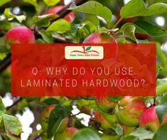 an apple tree with the words q why do you use laminated hardwood?