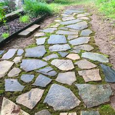 a stone path with moss growing on it and the words diy flagstone path with moss