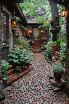 an outdoor walkway with potted plants and lights