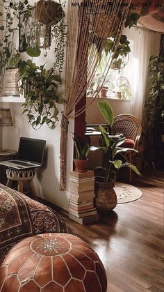 a living room filled with lots of plants and furniture