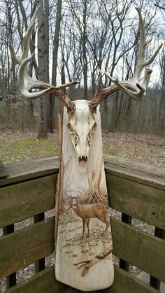 a deer skull with antlers mounted to it's back on a wooden bench