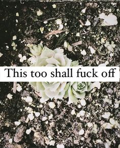 a flower that is laying on the ground with words above it saying, this too shall f