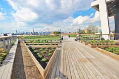 a wooden deck with plants growing on it and the city in the backround