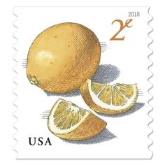 a stamp with an image of two lemons and one cut in half on it