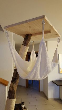 a cat laying on the floor next to a hammock with towels hanging from it