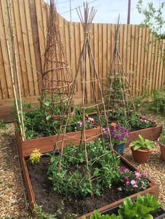 an outdoor garden with various types of plants and flowers in the ground, including trelliss