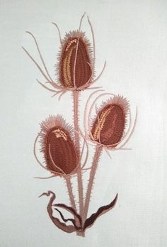 an image of three flowers on a white background